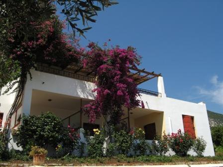 Hotel Heleni Apartments Epidaurus Exterior photo